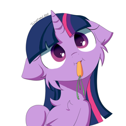 Size: 1080x1080 | Tagged: safe, artist:fajnyziomal, twilight sparkle, pony, unicorn, g4, carrot, cheek fluff, cute, eating, floppy ears, food, herbivore, horses doing horse things, simple background, solo, twiabetes, white background
