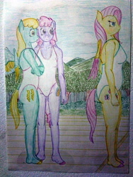 Size: 3120x4160 | Tagged: safe, artist:mildgyth, fluttershy, rainbowshine, sassaflash, anthro, plantigrade anthro, ziragshabdarverse, g4, hurricane fluttershy, breasts, chubby, clothes, crossed arms, female, hoof feet, one-piece swimsuit, scene interpretation, swimsuit, traditional art, two toned wings, wings