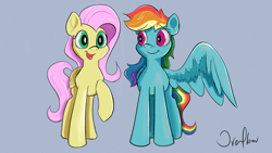 Size: 1920x1080 | Tagged: safe, artist:akuneanekokuro, fluttershy, rainbow dash, pegasus, pony, g4, digital art, duo, female, mare, simple background, smiling, wings