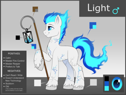 Size: 4000x3000 | Tagged: artist needed, safe, oc, oc only, oc:deathlight, earth pony, pony, male, reference sheet