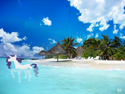 Size: 1280x960 | Tagged: safe, artist:askpinkiepieandfriends, rarity, pony, unicorn, g4, beach, female, irl, mare, ocean, palm tree, photo, ponies in real life, solo, swimming, tree