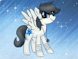 Size: 1600x1200 | Tagged: safe, artist:isadamu, oc, oc only, oc:starlight, pegasus, pony, abstract background, base used, female, jewelry, mare, necklace, pegasus oc, smiling, smirk, solo, wings