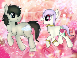 Size: 1600x1200 | Tagged: safe, artist:isadamu, oc, oc only, earth pony, pony, abstract background, base used, choker, duo, earth pony oc, female, flower, looking back, male, mare, rose, smiling, stallion