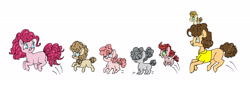 Size: 2048x696 | Tagged: safe, artist:ukulelepineapplecat, cheese sandwich, pinkie pie, oc, earth pony, pony, g4, baby, baby pony, clothes, earth pony oc, female, filly, looking back, male, mare, offspring, parent:cheese sandwich, parent:pinkie pie, parents:cheesepie, ponies riding ponies, pony hat, pronking, riding, ship:cheesepie, shipping, simple background, smiling, stallion, straight, white background