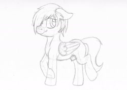 Size: 2398x1704 | Tagged: safe, artist:sefastpone, fluttershy, oc, pegasus, pony, g4, butterscotch, looking back, male, missing cutie mark, no cutie marks because im lazy, nudity, rule 63, sheath, sketch, solo, stallion, traditional art
