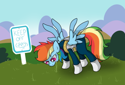 Size: 4363x2957 | Tagged: safe, artist:background basset, rainbow dash, pegasus, pony, g4, angry, armor, clothes, cosplay, costume, dragon ball, dragon ball z, fuck the police, grass, grazing, herbivore, horses doing horse things, keep off the grass, male, sign, solo, spread wings, vegeta, wings