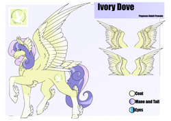 Size: 4961x3508 | Tagged: safe, artist:oneiria-fylakas, oc, oc only, pegasus, pony, reference sheet, solo