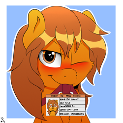 Size: 2000x2000 | Tagged: safe, artist:h3nger, oc, oc only, oc:zip circuit, earth pony, pony, blushing, heart, heart eyes, high res, horny on main, id card, implied crossdressing, license, male, solo, stallion, wingding eyes