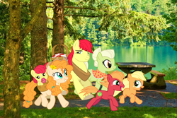 Size: 1144x766 | Tagged: safe, artist:cheezedoodle96, artist:lachlancarr1996, edit, apple bloom, applejack, big macintosh, bright mac, granny smith, pear butter, earth pony, pony, g4, baby, baby apple bloom, basket, colt, colt big macintosh, female, filly, filly applejack, male, pacifier, picnic basket, real life background, younger