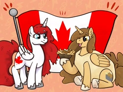 Size: 2048x1535 | Tagged: safe, artist:vanhooverpe, oc, canada, canadian flag, clothes, costume, flag, poutine, vanhoover pony expo