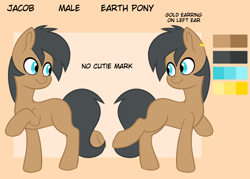 Size: 2450x1750 | Tagged: safe, oc, oc only, oc:jacob, earth pony, pony, blank flank, jewelry, reference sheet, ring