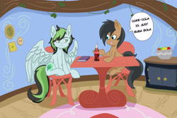 Size: 5167x3444 | Tagged: safe, oc, oc only, oc:jacob, oc:weo, earth pony, pegasus, pony, bottle, chatting, coke bottle, male