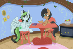 Size: 5167x3444 | Tagged: safe, oc, oc only, oc:jacob, oc:weo, earth pony, pegasus, pony, book, chatting, male