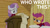 Size: 1280x720 | Tagged: safe, edit, edited screencap, editor:quoterific, screencap, scootaloo, sweetie belle, pegasus, pony, unicorn, g4, one bad apple, season 3, cape, caption, clothes, clubhouse, cmc cape, crusaders clubhouse, female, filly, looking at each other, text