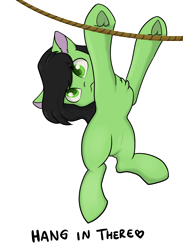 Size: 2420x3298 | Tagged: safe, artist:dumbwoofer, oc, oc only, oc:filly anon, earth pony, pony, :<, chest fluff, ear fluff, female, filly, hang in there, hanging, high res, looking at you, meme, ponified animal photo, rope, simple background, solo, text, transparent background, underhoof, white outline