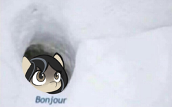 Size: 1406x869 | Tagged: safe, artist:manicpanda, oc, oc only, oc:cold shoulder, pony, yakutian horse, bonjour, female, french, irl, meme, peeking, photo, ponies in real life, ponified animal photo, ponified meme, snow, snow mare, solo