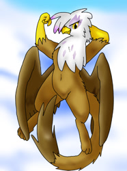 Size: 595x800 | Tagged: safe, artist:kushina13, gilda, griffon, g4, beak, belly button, body pillow, body pillow design, cloud, female, smiling, solo, tail, wings