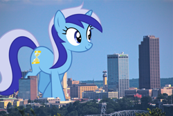 Size: 2400x1600 | Tagged: safe, artist:thegiantponyfan, minuette, pony, unicorn, g4, arkansas, female, giant pony, giant unicorn, giantess, highrise ponies, irl, little rock, macro, mare, mega giant, mega/giant minuette, photo, ponies in real life