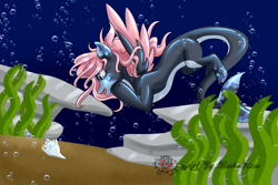 Size: 1280x854 | Tagged: safe, artist:reekarose, oc, oc only, merpony, blue background, blue eyes, bubble, digital art, female, fish tail, flowing mane, flowing tail, happy, mare, ocean, open mouth, pink mane, rock, sand, seashell, seaweed, signature, simple background, smiling, solo, spread wings, swimming, tail, underwater, water, wings