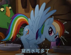 Size: 1321x1020 | Tagged: safe, artist:cozy cloud, derpibooru exclusive, screencap, rainbow dash, pegasus, pony, g4, my little pony: the movie, caption, chinese character, female, image macro, text