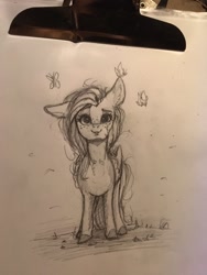 Size: 768x1024 | Tagged: safe, artist:miokomata, fluttershy, butterfly, pegasus, pony, g4, cute, daaaaaaaaaaaw, female, freckles, freckleshy, looking at you, mare, monochrome, one ear down, pencil drawing, shyabetes, solo, traditional art