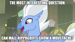 Size: 888x499 | Tagged: safe, edit, edited screencap, screencap, sky beak, classical hippogriff, hippogriff, g4, surf and/or turf, caption, image macro, meme, question, smiling, text