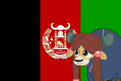 Size: 1095x730 | Tagged: safe, yona, yak, g4, afghanistan, flag