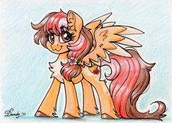 Size: 2054x1473 | Tagged: safe, artist:dandy, oc, oc only, pegasus, pony, colored pencil drawing, female, looking at you, solo, traditional art, unshorn fetlocks, wings