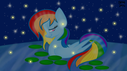 Size: 1440x803 | Tagged: safe, artist:skypaw122, rainbow dash, firefly (insect), insect, pegasus, pony, g4, bedroom eyes, eyelashes, female, mare, pond, smiling, solo, stars, wings
