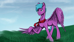 Size: 4424x2489 | Tagged: safe, artist:mixdaponies, oc, pegasus, pony, clothes, commission, grass, grass field, pegasus oc, scarf