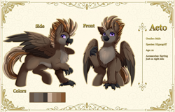 Size: 5240x3364 | Tagged: safe, artist:pridark, oc, oc only, oc:aeto, hippogriff, hippogriff oc, reference sheet, solo