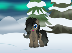 Size: 4031x2939 | Tagged: safe, artist:badumsquish, derpibooru exclusive, oc, oc only, oc:smol, earth pony, pony, yakutian horse, aurora borealis, butt fluff, chest fluff, ear fluff, female, fir tree, fluffy, hair over one eye, happy, leg fluff, looking at you, mare, open mouth, show accurate, smiling, smol, snow, snow mare, solo, tree, unshorn fetlocks, winter