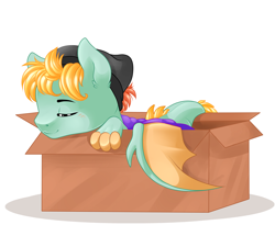 Size: 2834x2551 | Tagged: safe, artist:schokocream, oc, oc only, dracony, dragon, hybrid, pony, beanie, box, eyes closed, hat, high res, male, pony in a box, simple background, sleeping, solo, white background