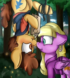 Size: 1800x2000 | Tagged: safe, artist:milledpurple, pegasus, pony, clothes, dipper pines, ear piercing, earring, female, forest, gravity falls, hoof hold, jewelry, looking at each other, male, mare, outdoors, pacifica northwest, piercing, ponified, rope, smiling, stallion, straight, tree, wings