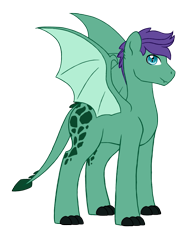 Size: 887x1160 | Tagged: safe, artist:blitzcaliber, oc, oc only, oc:onyx flare, dracony, hybrid, claws, dragon wings, interspecies offspring, male, offspring, parent:rarity, parent:spike, parents:sparity, simple background, spaded tail, transparent background, wings