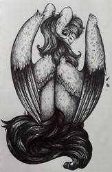 Size: 702x1080 | Tagged: safe, artist:skior, rainbow dash, pony, g4, monochrome, solo, traditional art, two toned wings, wings