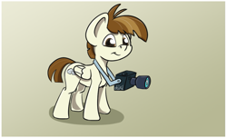 Size: 1043x633 | Tagged: safe, artist:agent-diego, featherweight, pegasus, pony, g4, camera, colt, male, simple background