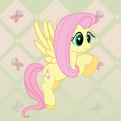Size: 1600x1590 | Tagged: safe, artist:spectty, fluttershy, pegasus, pony, g4, abstract background, cute, cutie mark background, female, hooves together, mare, scrunchy face, shyabetes, solo, spread wings, three quarter view, wings
