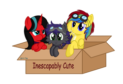 Size: 1280x877 | Tagged: safe, artist:tenderrain-art, oc, oc only, pegasus, pony, unicorn, box, captain obvious, cute, female, goggles, male, mare, ocbetes, simple background, stallion, transparent background