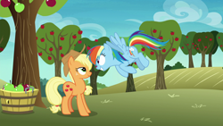 Size: 1920x1080 | Tagged: safe, screencap, applejack, rainbow dash, earth pony, pegasus, pony, g4, grannies gone wild, season 8, apple, apple tree, applejack's hat, basket, cowboy hat, duo, duo female, female, flying, food, grin, hat, looking at each other, mare, smiling, smiling at each other, spread wings, sweet apple acres, tree, wings