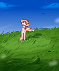 Size: 2500x3000 | Tagged: safe, artist:buy_some_apples, oc, oc only, earth pony, pony, cloud, field, grass, grin, high res, leaf, looking up, sky, smiling, solo, wind, windswept mane