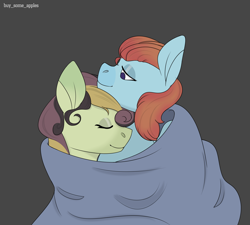Size: 3000x2700 | Tagged: safe, artist:buy_some_apples, oc, oc only, pony, blanket, duo, duo female, female, high res