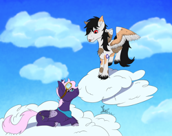 Size: 3000x2380 | Tagged: safe, artist:diamond06mlp, oc, oc only, pegasus, pony, cloud, duo, female, high res, lying down, mare, on a cloud, pegasus oc, prone, signature, wings