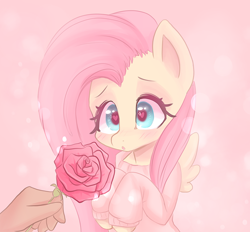 Size: 718x667 | Tagged: safe, artist:valeria_fills, fluttershy, human, pegasus, pony, g4, :o, blushing, bust, clothes, cute, daaaaaaaaaaaw, disembodied hand, female, flower, hand, heart eyes, hooves to the chest, looking at something, mare, offscreen character, offscreen human, open mouth, rose, shyabetes, solo focus, sweater, sweatershy, three quarter view, weapons-grade cute, wingding eyes