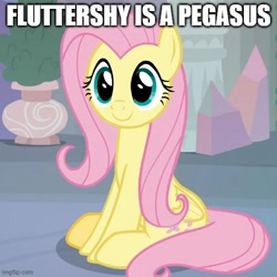 Size: 500x500 | Tagged: safe, edit, edited screencap, screencap, fluttershy, pegasus, pony, g4, non-compete clause, season 8, c:, captain obvious, caption, cropped, cute, female, image macro, imgflip, impact font, mare, shyabetes, sitting, smiling, solo, text
