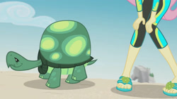 Size: 3410x1920 | Tagged: safe, screencap, fluttershy, tank, tortoise, aww... baby turtles, equestria girls, g4, my little pony equestria girls: better together, beach, clothes, female, fluttershy's wetsuit, high res, male, sandals, swimsuit, wetsuit