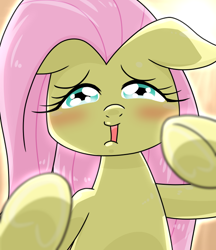 Size: 640x740 | Tagged: safe, alternate version, artist:batipin, fluttershy, pegasus, pony, g4, blushing, bust, female, floppy ears, front view, full face view, looking at you, mare, open mouth, solo