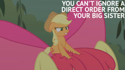 Size: 1280x720 | Tagged: safe, edit, edited screencap, editor:quoterific, screencap, apple bloom, applejack, earth pony, pony, bridle gossip, g4, season 1, apple bloom's bow, applejack's hat, appletini, bow, cowboy hat, female, filly, hair bow, hat, mare, micro, offscreen character