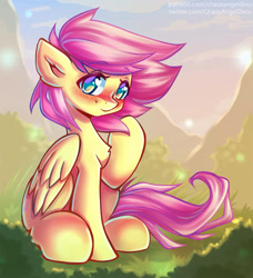 Size: 1100x1206 | Tagged: safe, artist:chaosangeldesu, fluttershy, pegasus, pony, g4, blushing, chest fluff, cute, female, folded wings, looking at you, mare, outdoors, raised hoof, shyabetes, sitting, smiling, solo, three quarter view, wings