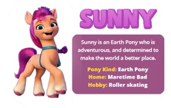 Size: 538x341 | Tagged: safe, sunny starscout, earth pony, pony, g5, character introduction, misspelling, solo, you had one job